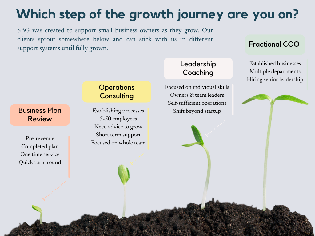 Four stages of business growth and the appropriate service from SBG to support them illustrated by four seedlings at different stages rising from the soil.
